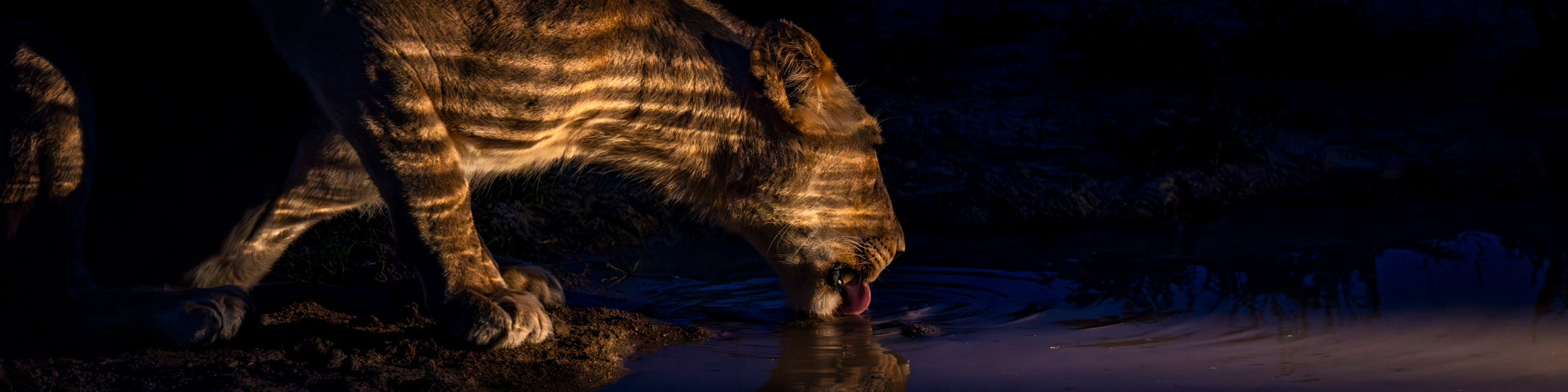 Africa