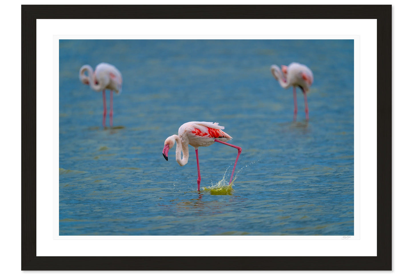 Wading Dance