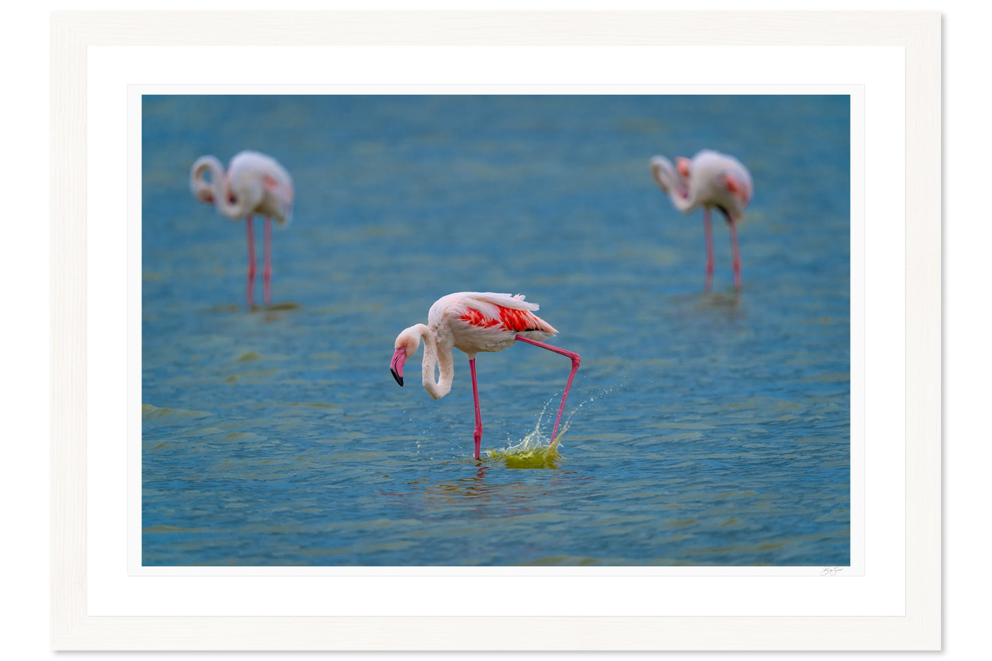 Wading Dance