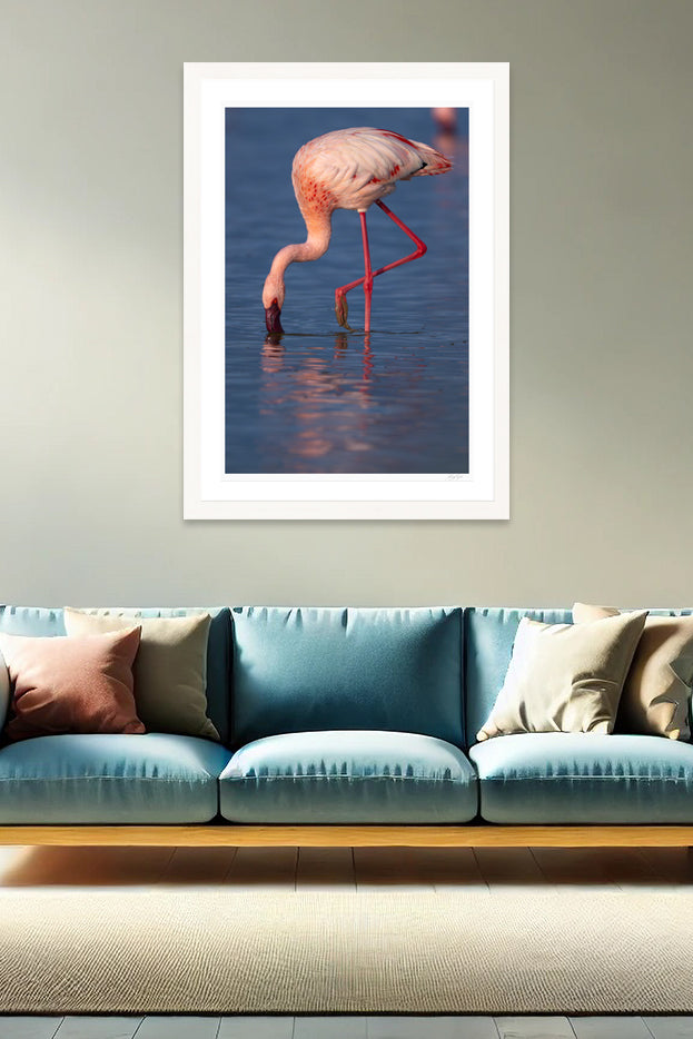 Reflections of Pink
