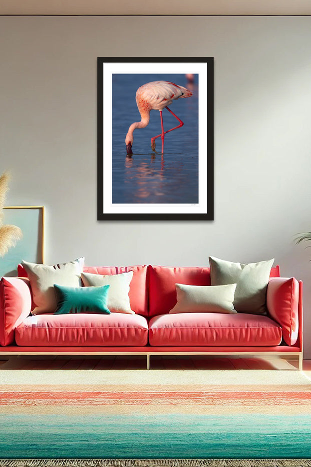 Reflections of Pink