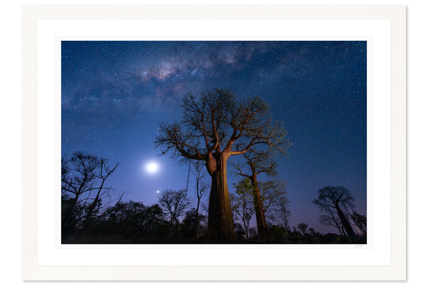 Under Baobab Skies
