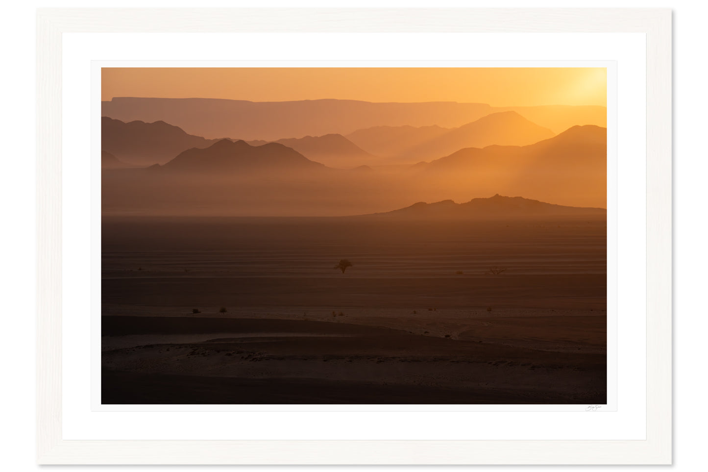 Golden Veils of the Namib