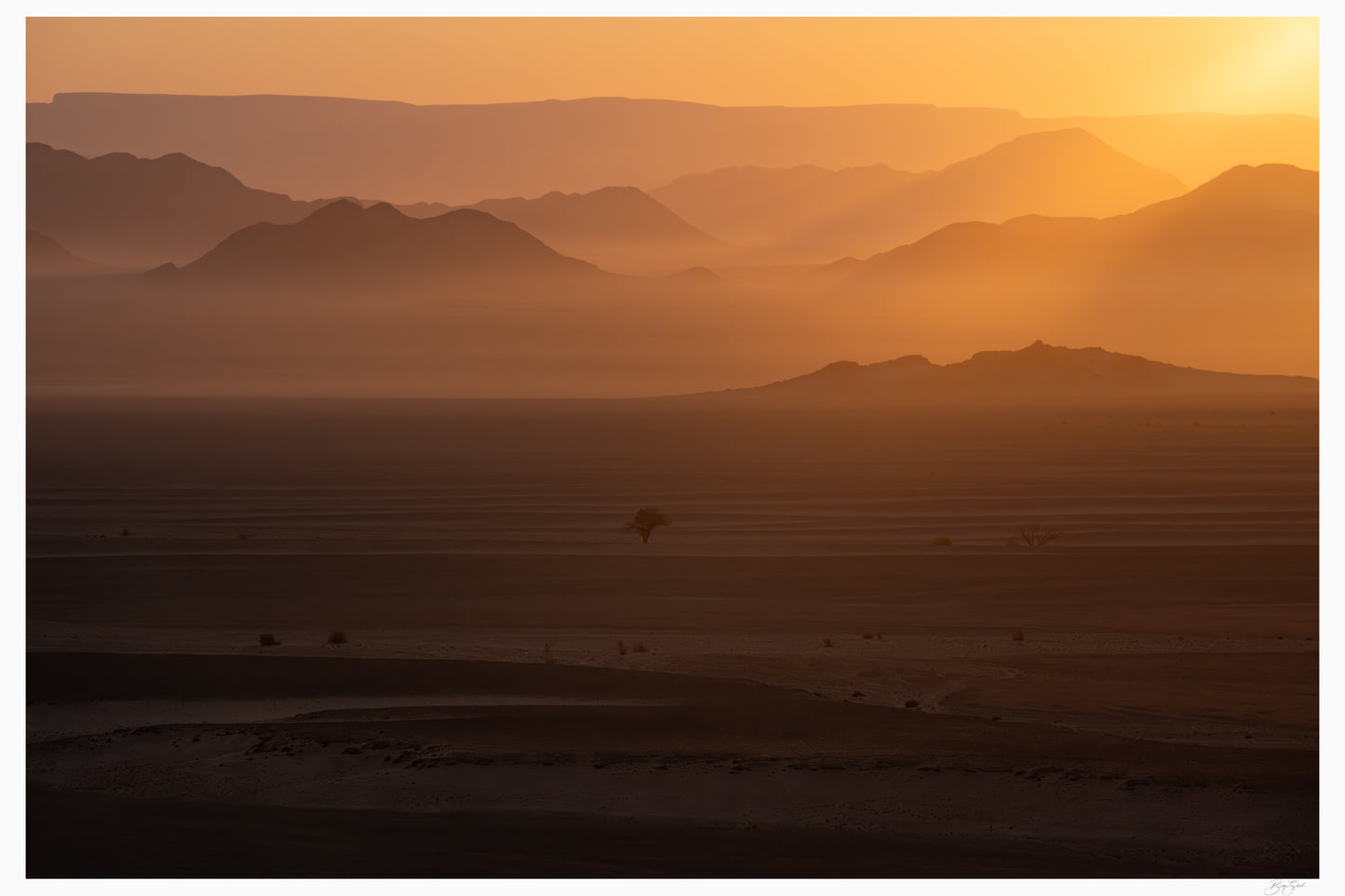 Golden Veils of the Namib