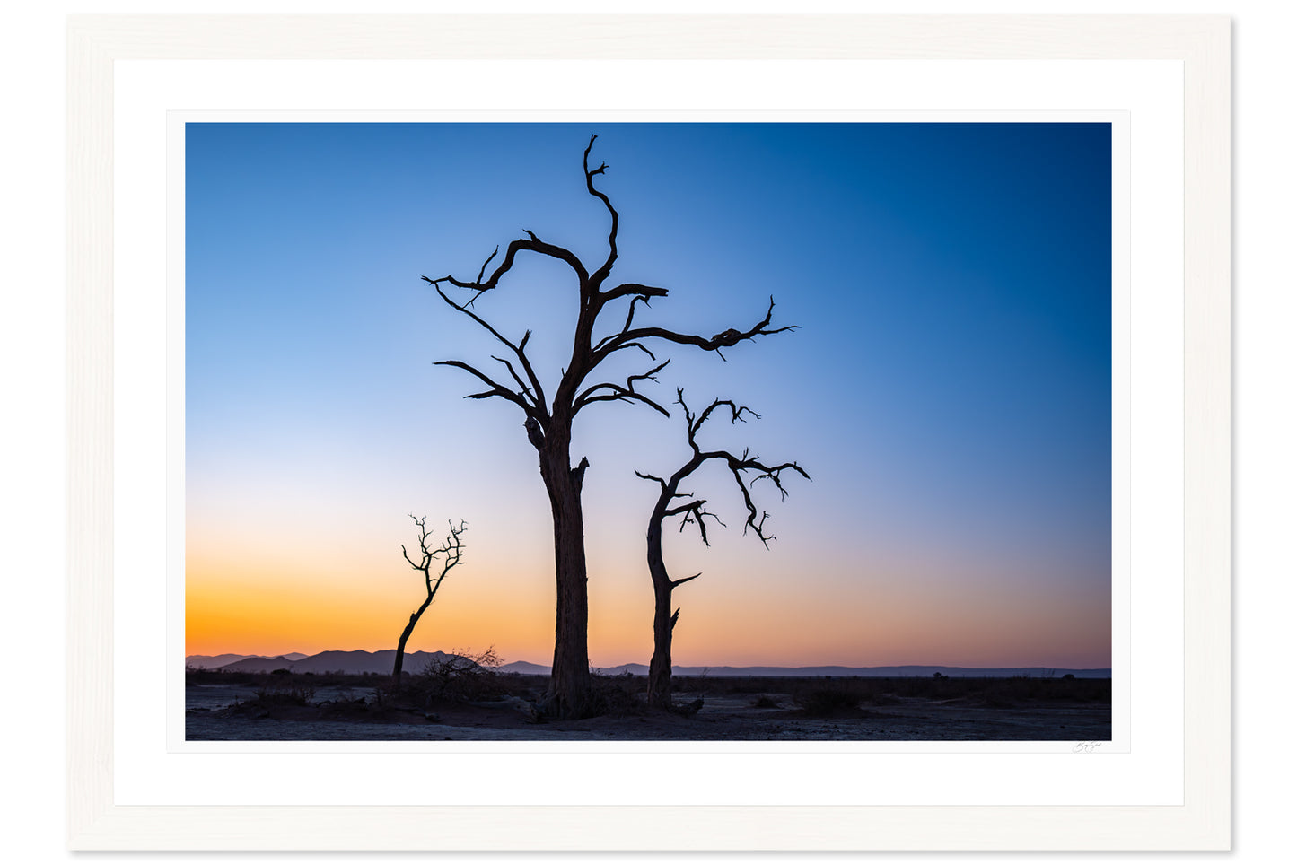Skeletons of the Desert