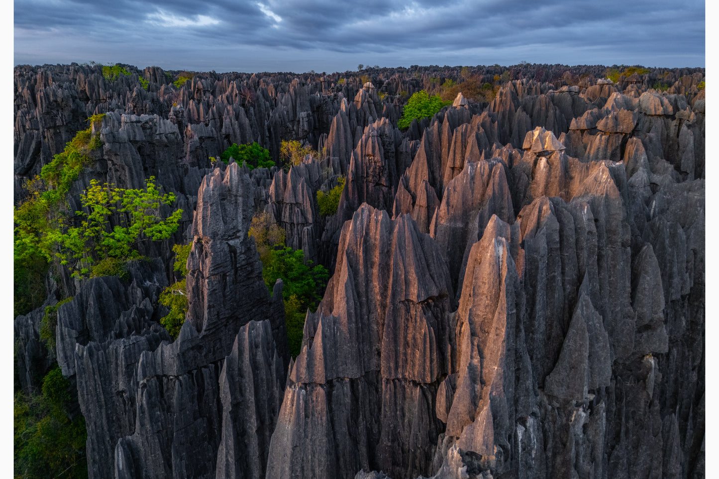 Guardians of the Tsingy