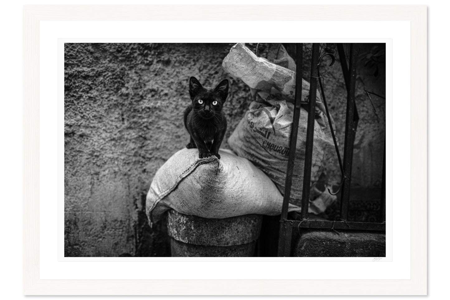 Eyes of the Medina