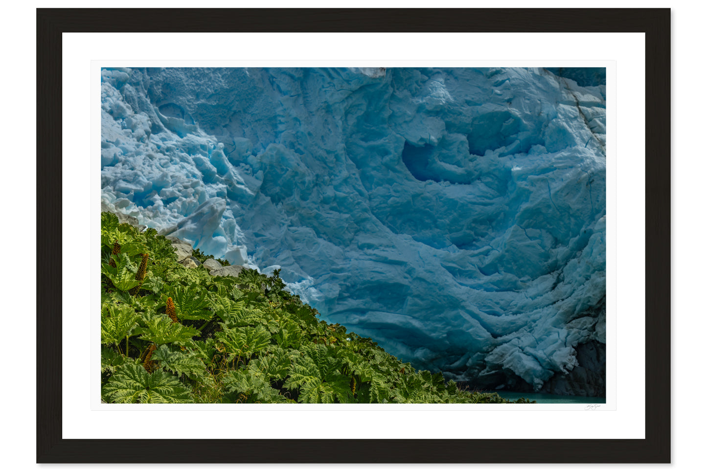 Glacial Garden