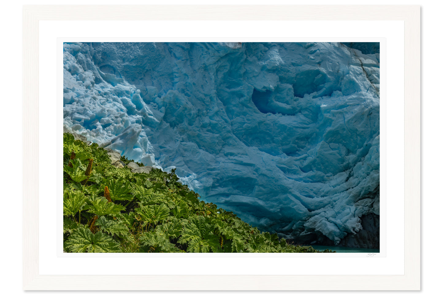 Glacial Garden