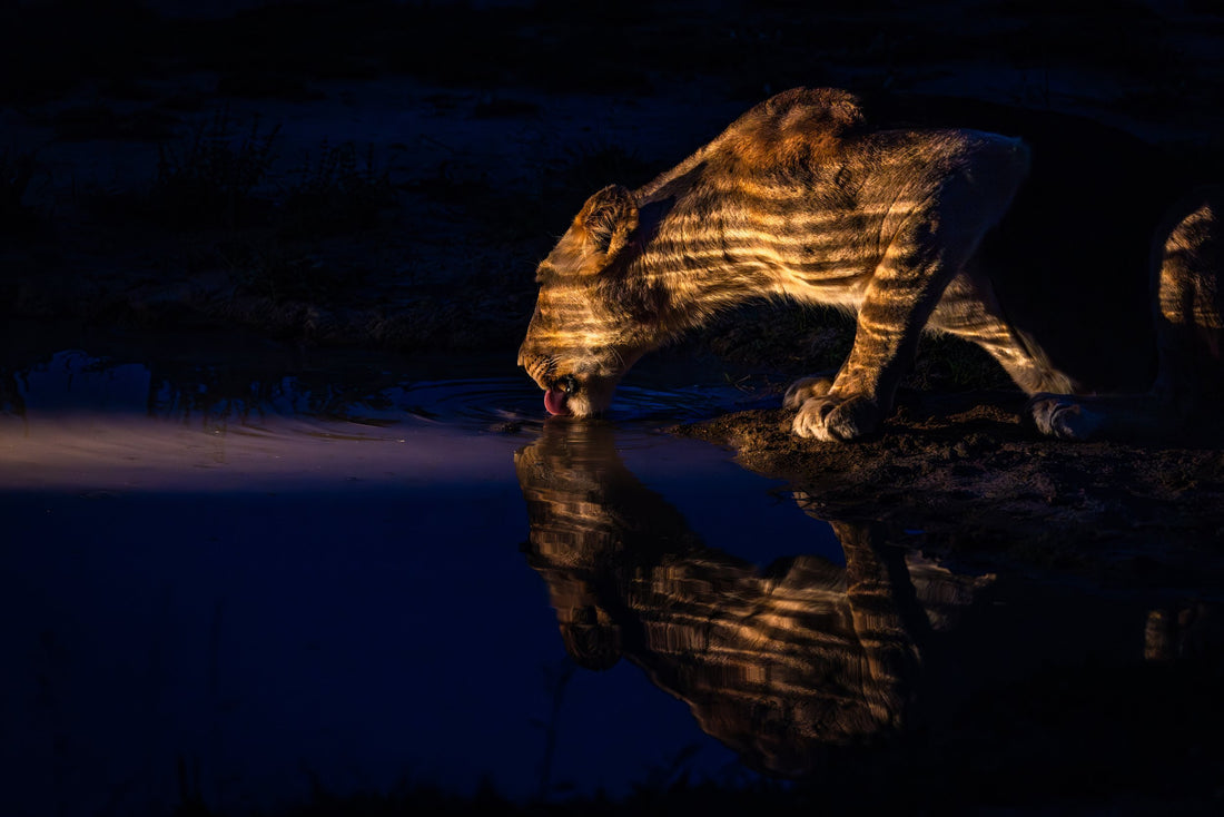 SABI SABI