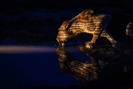 SABI SABI