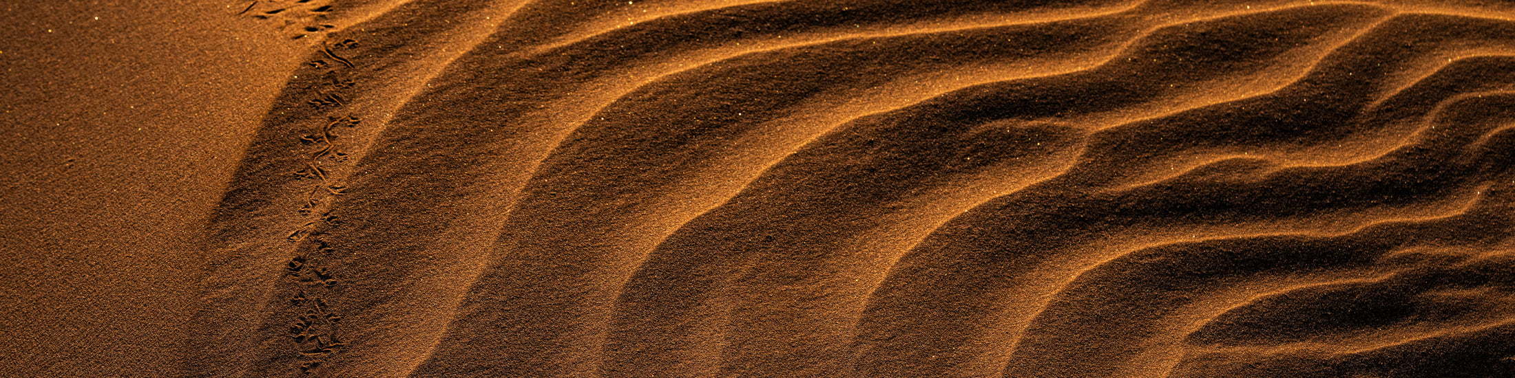 Deserts