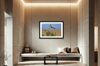 Flight Over The Grasslands