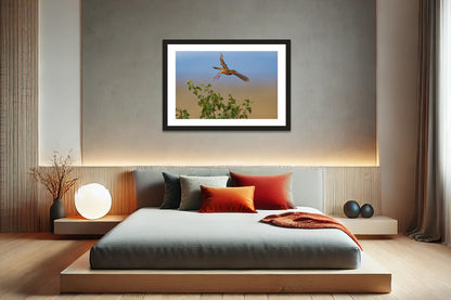 Flight Over The Grasslands
