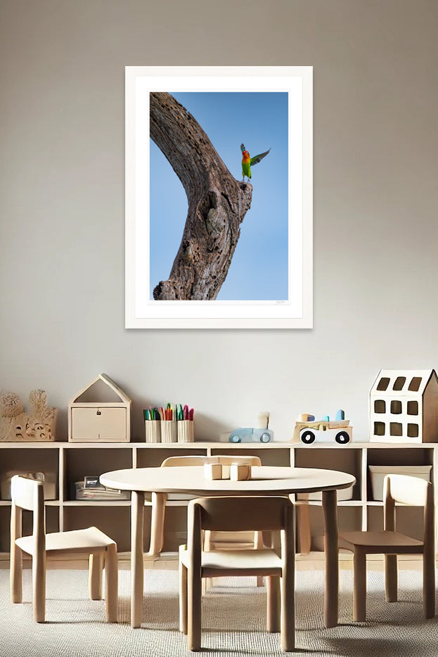 Lovebird Delight