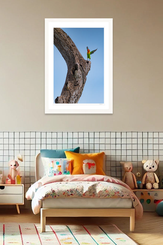 Lovebird Delight