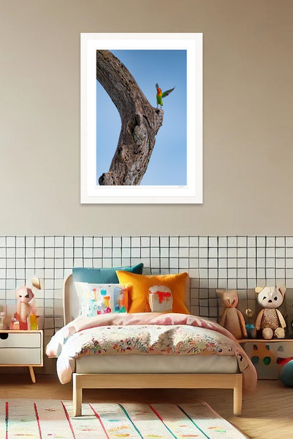 Lovebird Delight