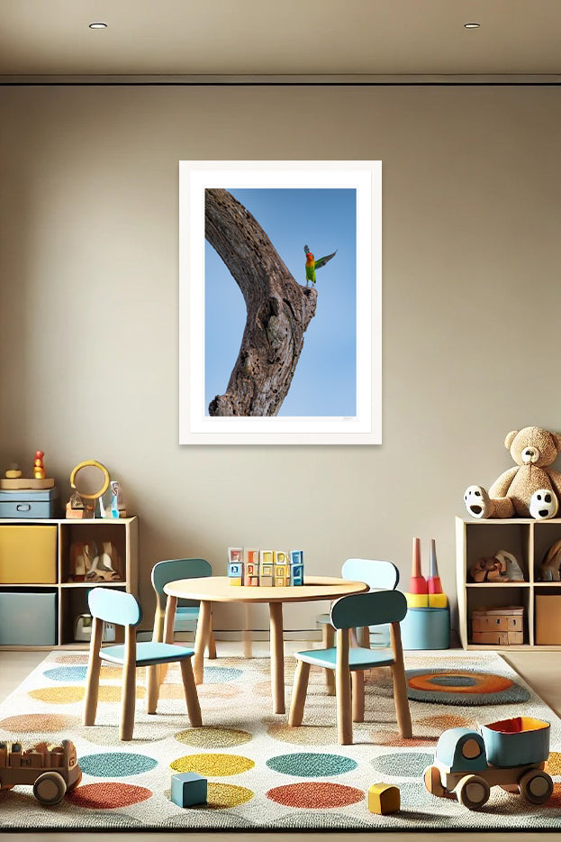 Lovebird Delight