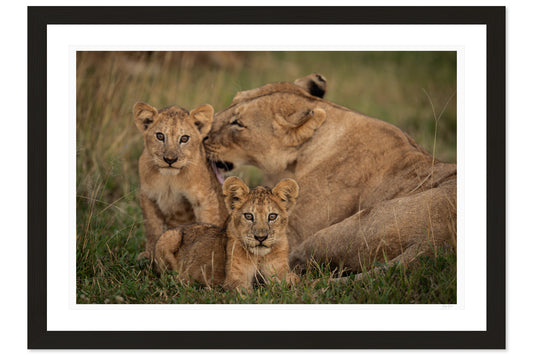 Mothers Care