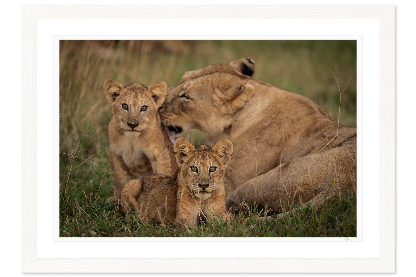 Mothers Care