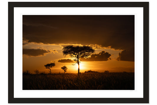 Savanna Gold