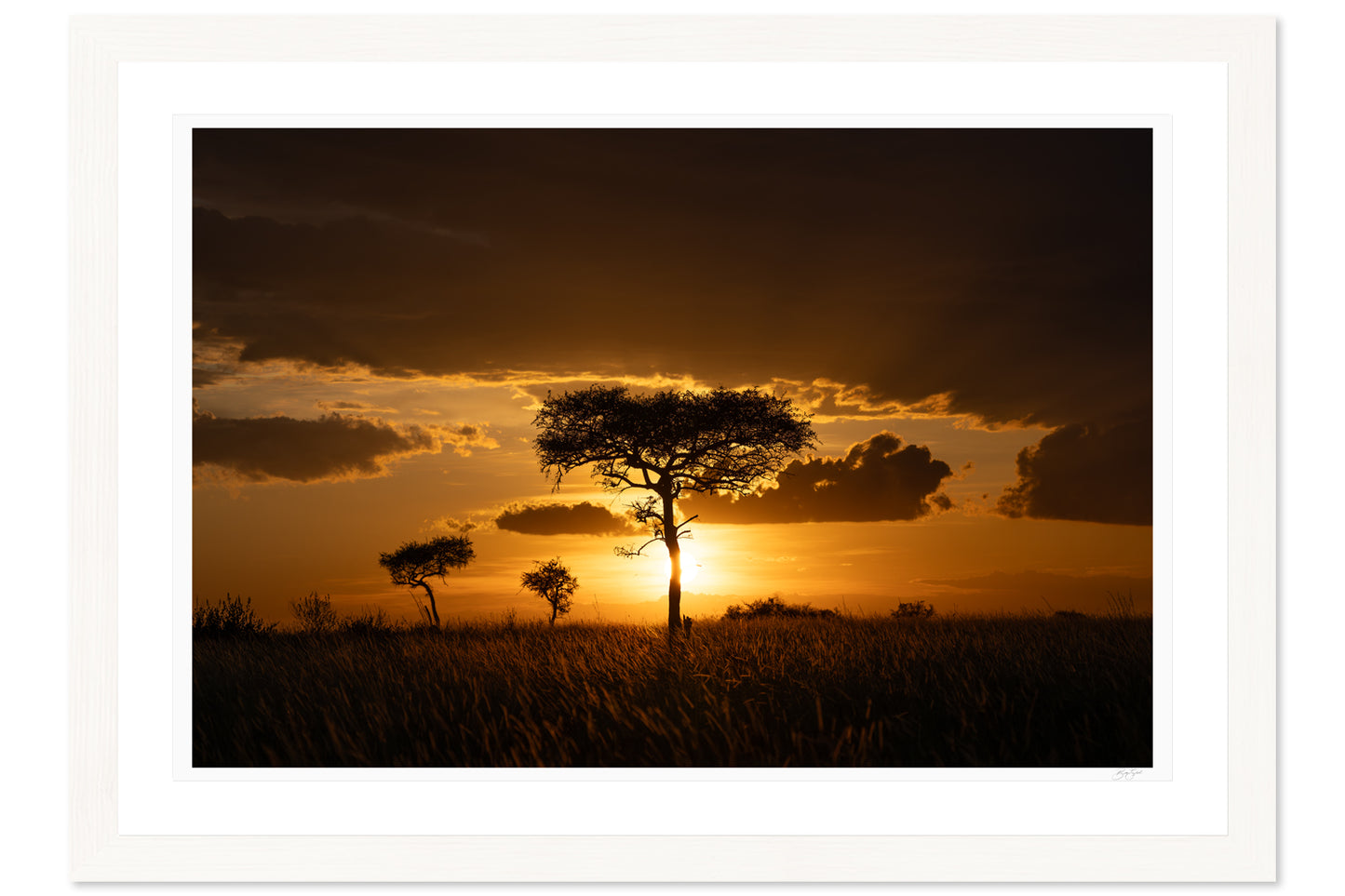 Savanna Gold