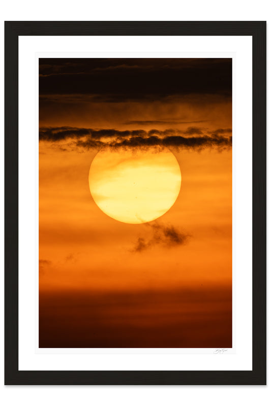 Sun of the Serengeti