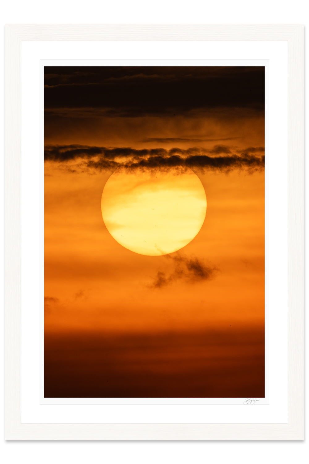 Sun of the Serengeti