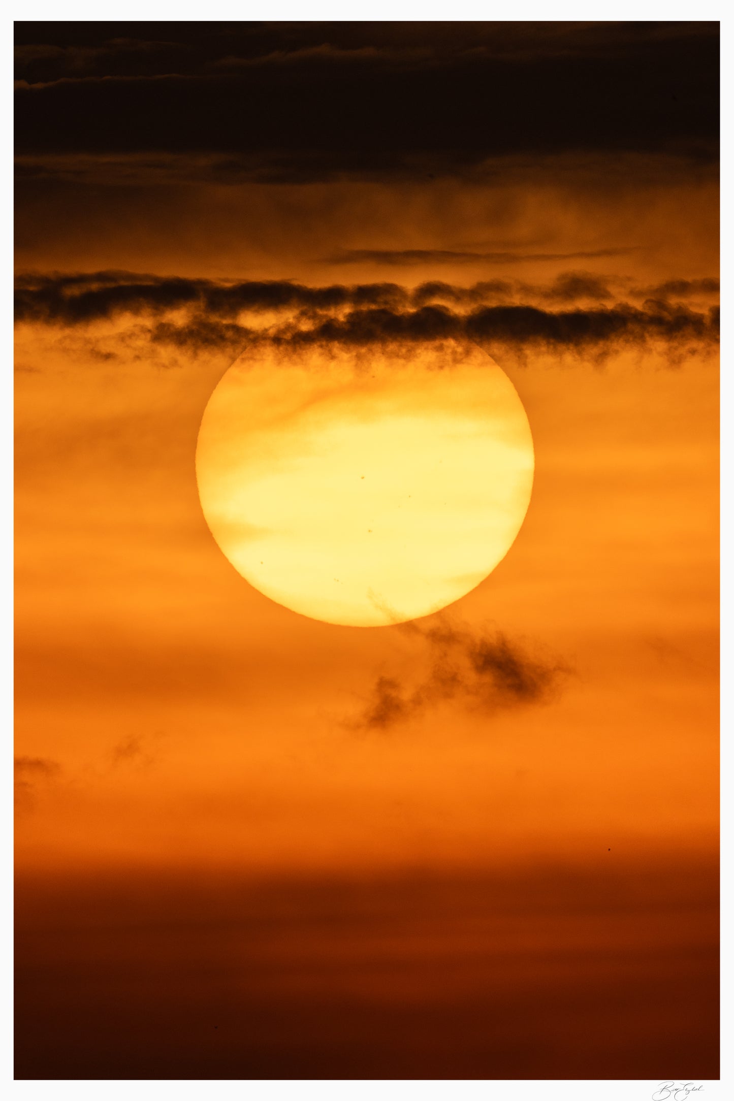 Sun of the Serengeti
