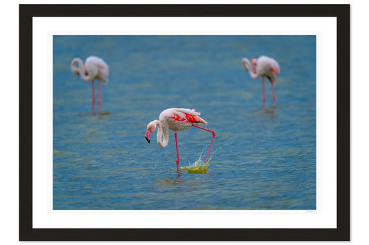 Wading Dance