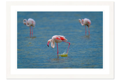 Wading Dance