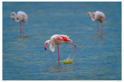 Wading Dance