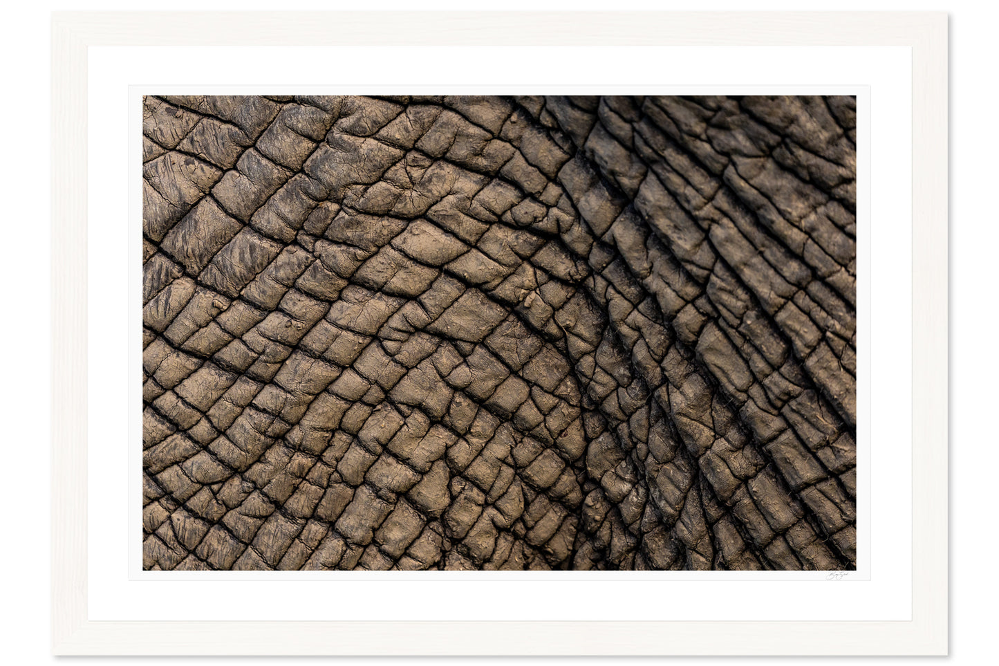 Topography of Time