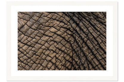 Topography of Time
