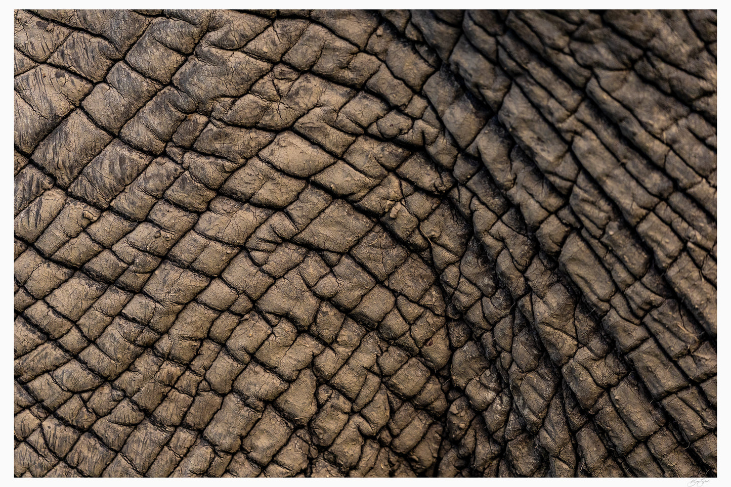 Topography of Time