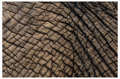 Topography of Time