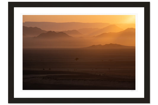 Golden Veils of the Namib