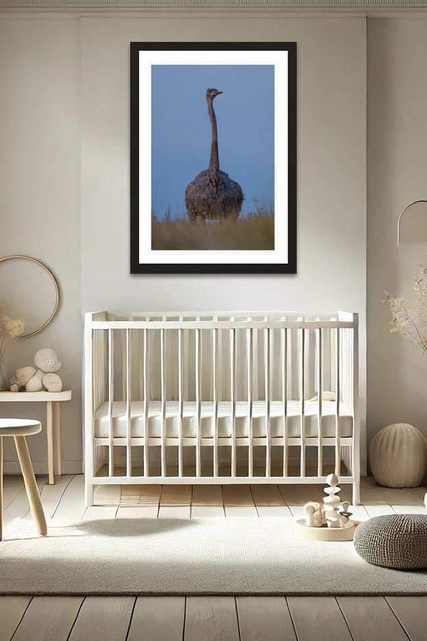 Noble Watcher