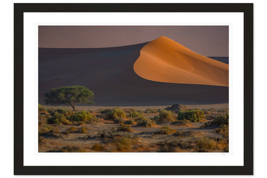Namib’s Hidden Oasis