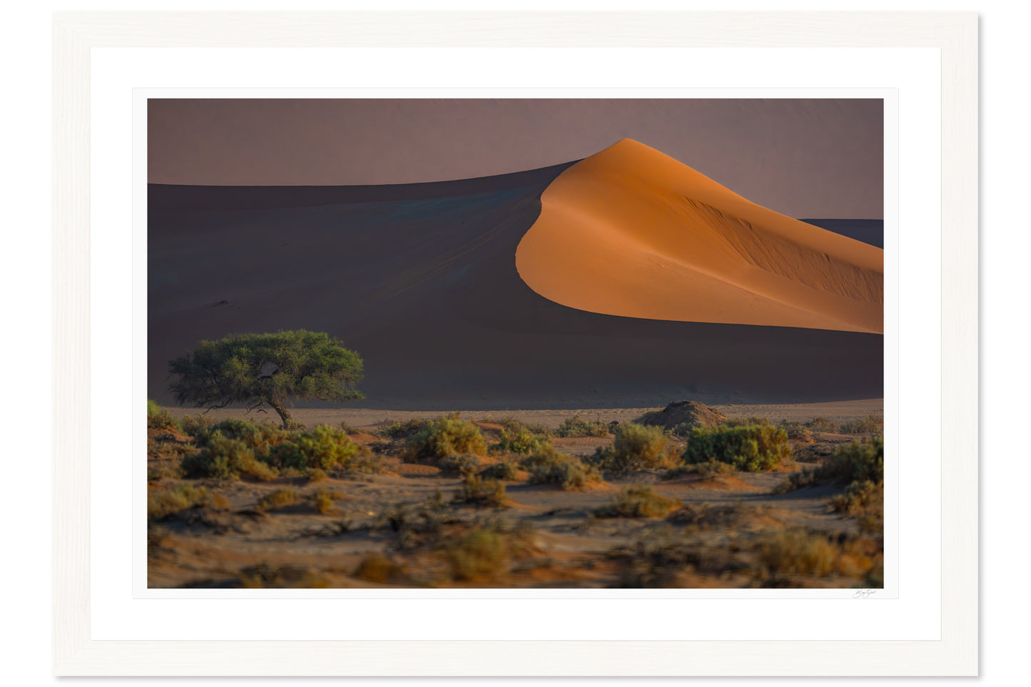 Namib’s Hidden Oasis