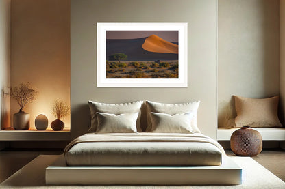 Namib’s Hidden Oasis