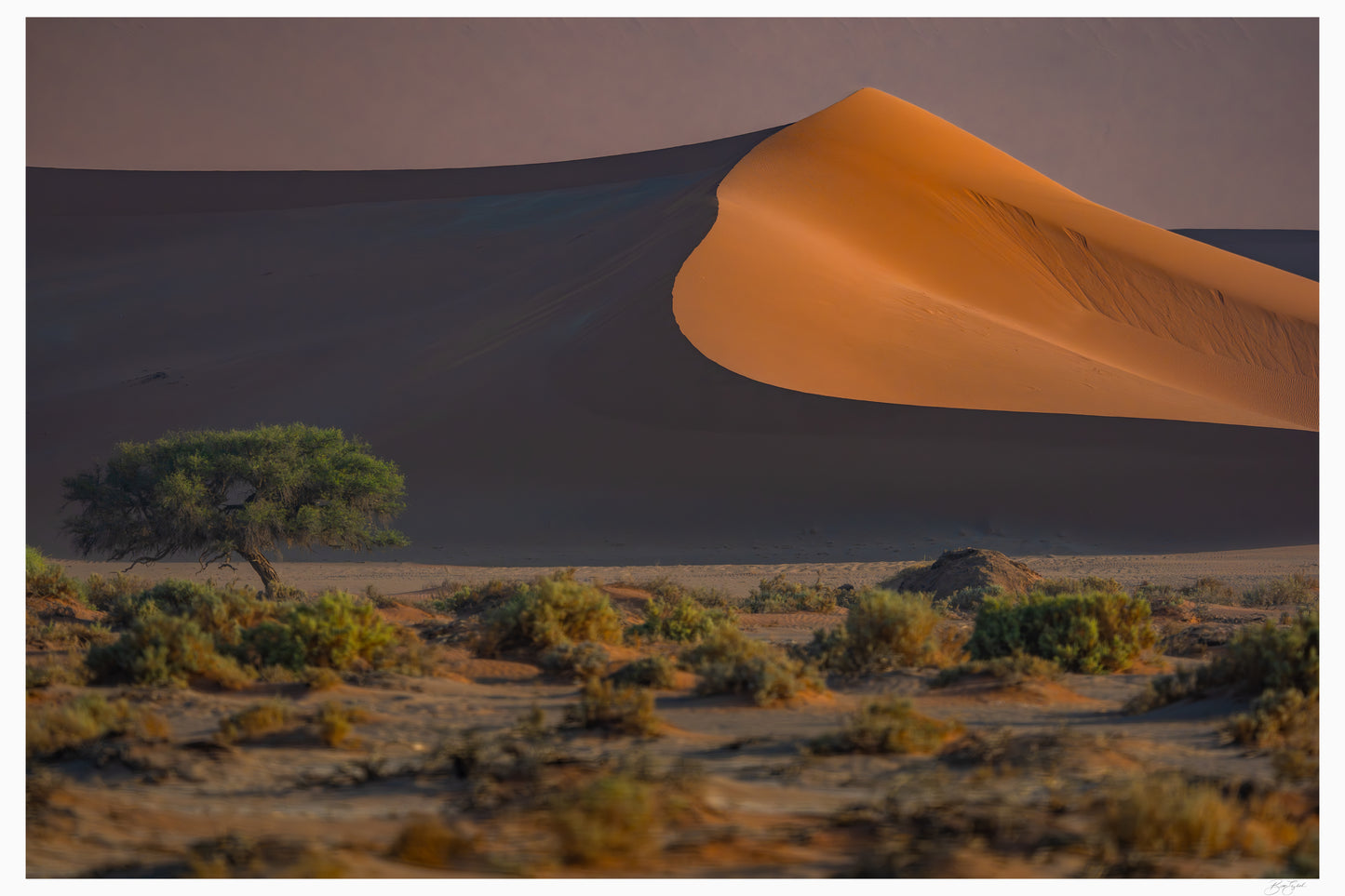 Namib’s Hidden Oasis