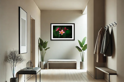 Island Bloom