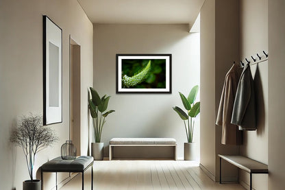 Emerald Spiral