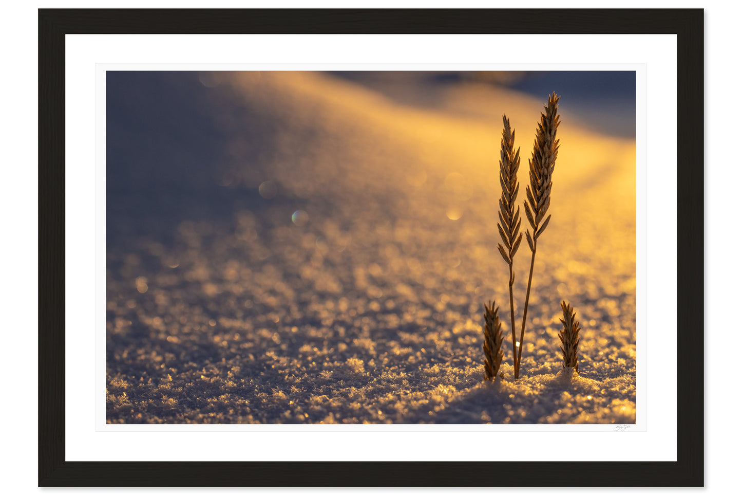 Winter’s Arrival
