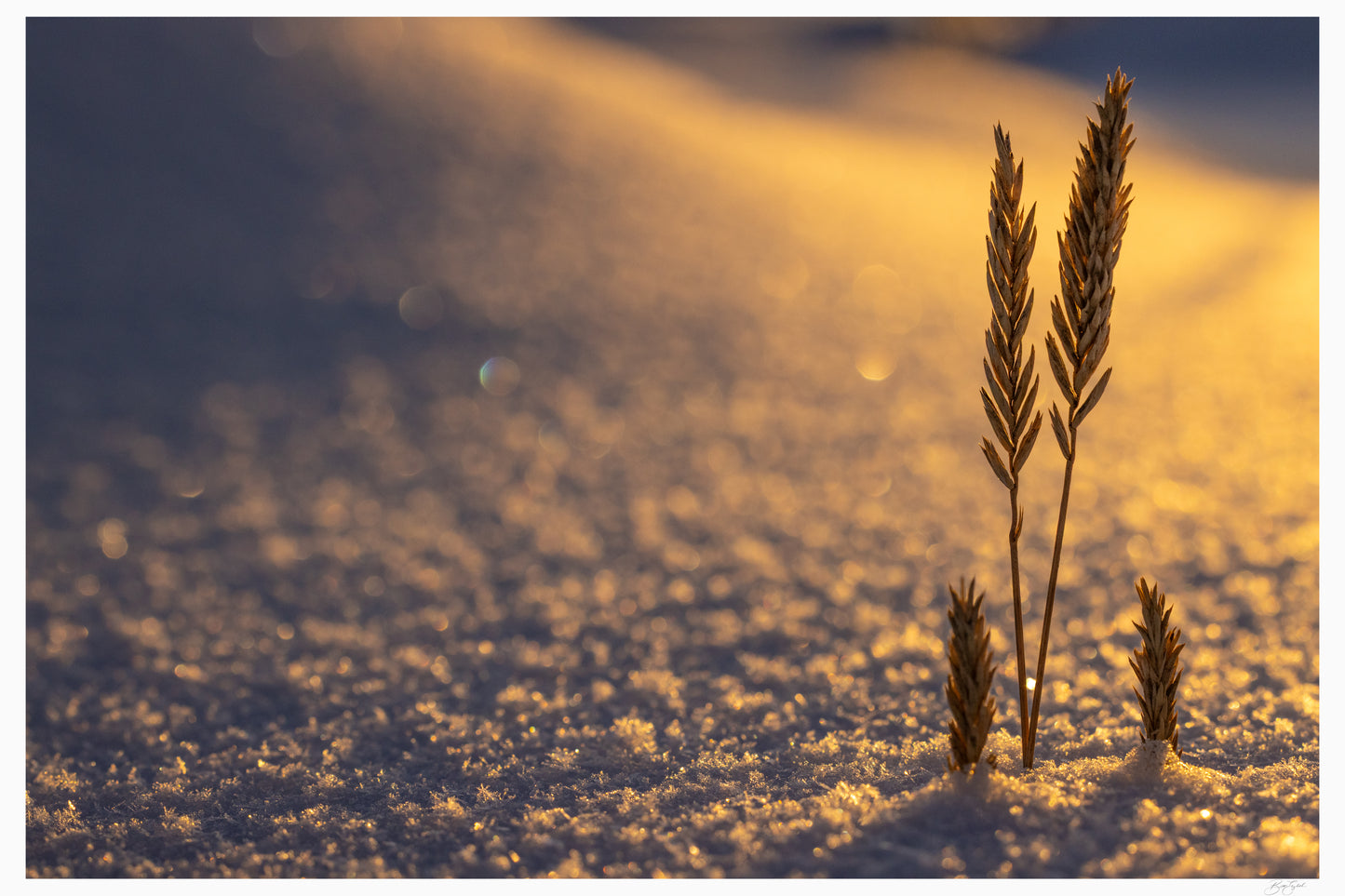 Winter’s Arrival