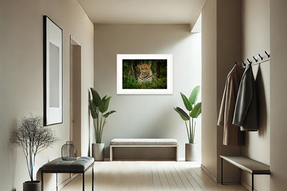 Eyes of the Savanna
