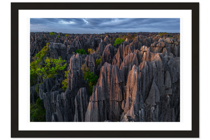 Guardians of the Tsingy