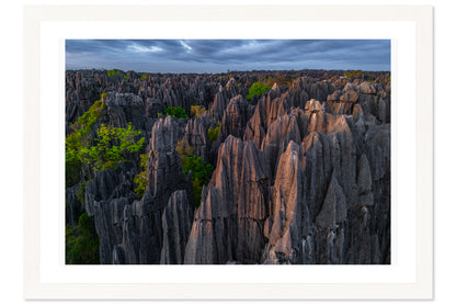 Guardians of the Tsingy