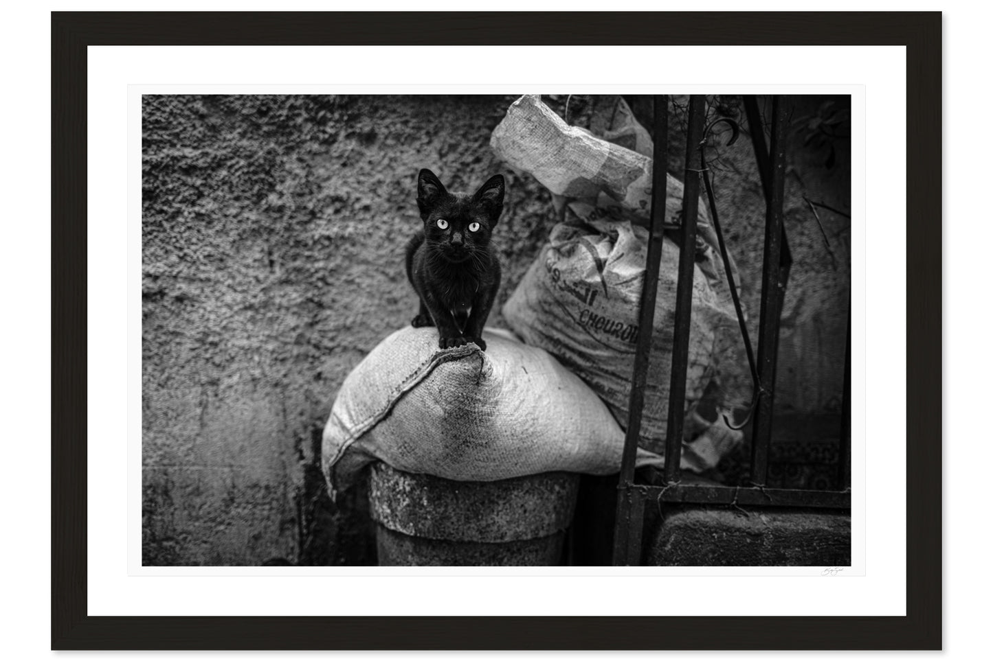 Eyes of the Medina